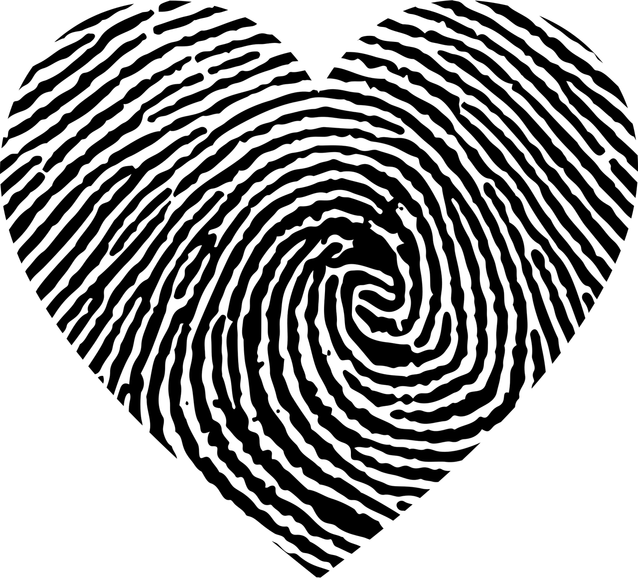 Fingerprint heart — Heart Failure, Infection and a Medical Brick Wall